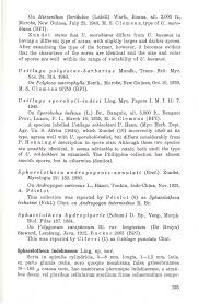 Attēlu rezultāti vaicājumam “Sphacelotheca hydropiperis”