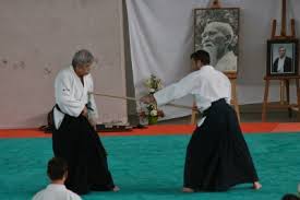 Image result for Newcastle Aikido Club