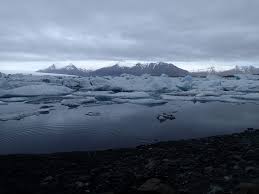 Image result for Ildblomkarse