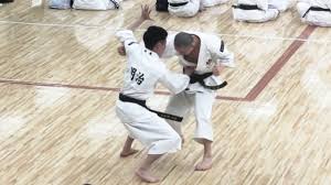 Image result for University of Bristol Shorinji Kempo Club