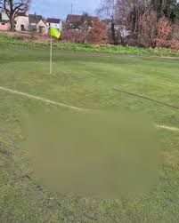 Image result for Thames Ditton & Esher Golf Club