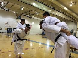 Image result for Winchester Shorinji Kempo Club