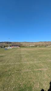 Image result for Reigate Rugby Football Club