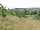 the Hafod colliery bing - via Daymix