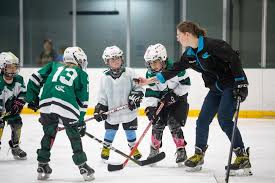 Image result for Perth Junior Ice Hockey Club