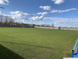 Image result for sényő