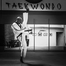 Image result for Torbay Taekwondo Schools
