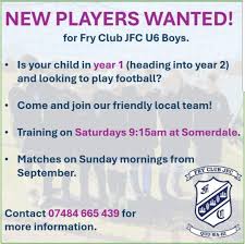 Image result for Fry Club Colts & Fry Club Girls Jfc