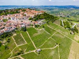 Image result for alba