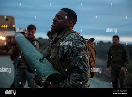 Image result for Walker's American Martial Arts