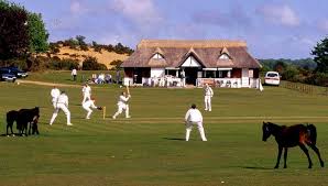 Image result for Lyndhurst Cricket Club