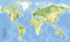 Attēlu rezultāti vaicājumam “Badhamia lilacina sessile”
