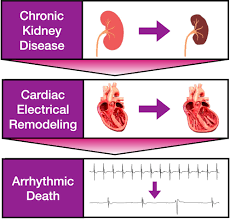 Image result for Peak Performance Ckd, Horley