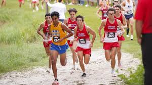 Image result for Lakeland Cross Country Ski Club