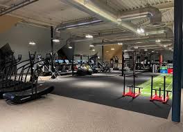 Image result for David Lloyd Solihull Cranmore