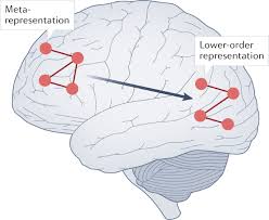 Image result for consciousness