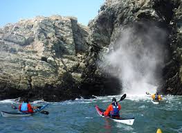 Image result for Hexham Canoe Club