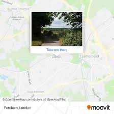 Image result for Leatherhead & Cobham Cc