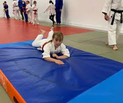 Image result for Carmarthen Judo Club