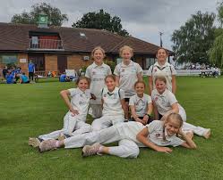 Image result for Chiddingfold Youth Fc