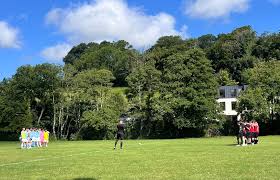 Image result for Harbertonford A F C