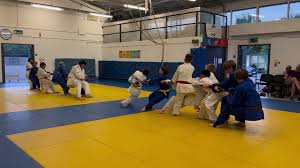 Image result for Redbridge Judo Club