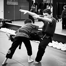 Image result for Professional  Martial Arts Academy