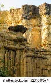 「parque los chor」の画像検索結果