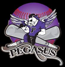 Image result for Pegasus Trampoline Club