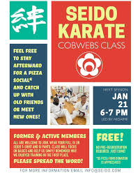 Image result for Aylesbury Vale Seido Karate