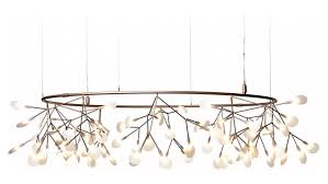 Attēlu rezultāti vaicājumam “Heracleum”