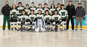 Image result for Demons Skater Hockey Club