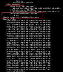 Image result for %EF%BC%92%EF%BC%90%EF%BC%90%EF%BC%B6%E3%80%80%EF%BC%93%E6%9C%AC%E3%