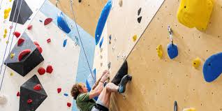 Image result for High Sports Climbing Wall