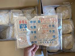 Image result for 2005早春