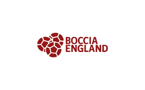 Image result for North Wales Boccia
