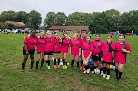 Image result for Beecholme Belles Banstead FC
