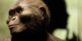 Image result for lucy