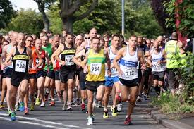 Image result for Billingham Marsh House Harriers