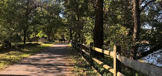 Image result for Greenways Riding Stable Lower Eashing