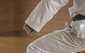 Image result for Sendai Kushiro Karate