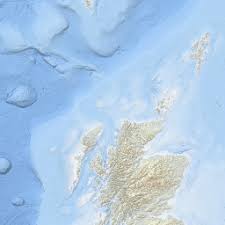 Image result for Tetronarce nobiliana