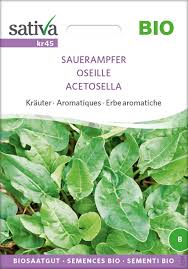 Image result for Sauerampfer