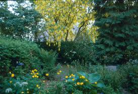 Image result for Priona Tuinen