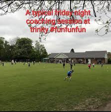 Image result for Horsham Trinity Cricket Club