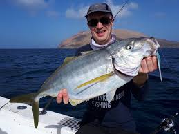 Image result for Pseudocaranx dentex