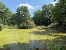 Image result for The Polytechnic Rambling Club