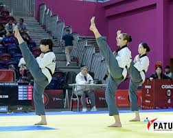 Image result for Taekwondo Athletes Program USA