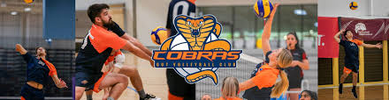 Image result for Cheltenham Cobras Volleyball Club