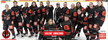 Image result for Cardiff Comets Ladies Ice Hockey